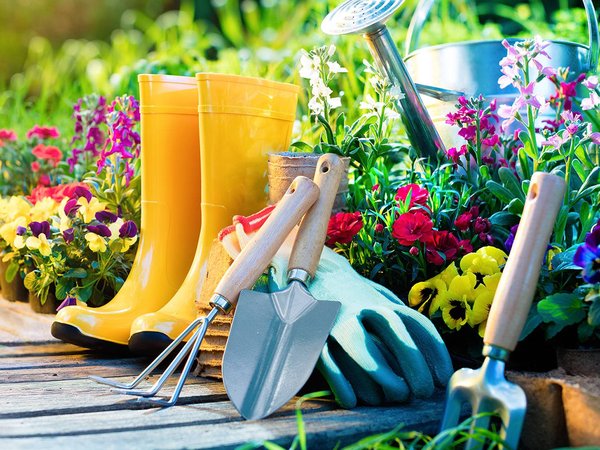 Jardin Equipement