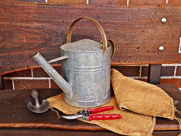 Le jardinage en France : Outils de base pour commencer